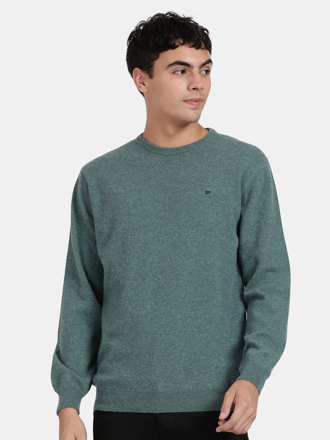 

t-base Round Neck Woollen Pullover, Green