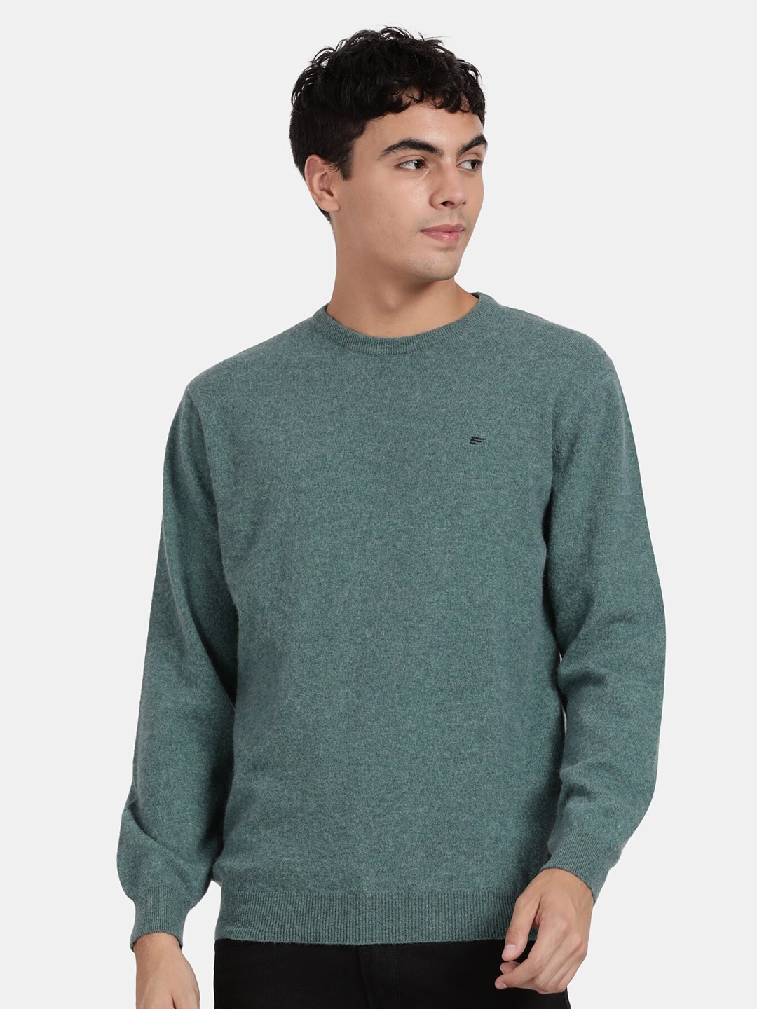 

t-base Round Neck Pullover Sweaters, Green