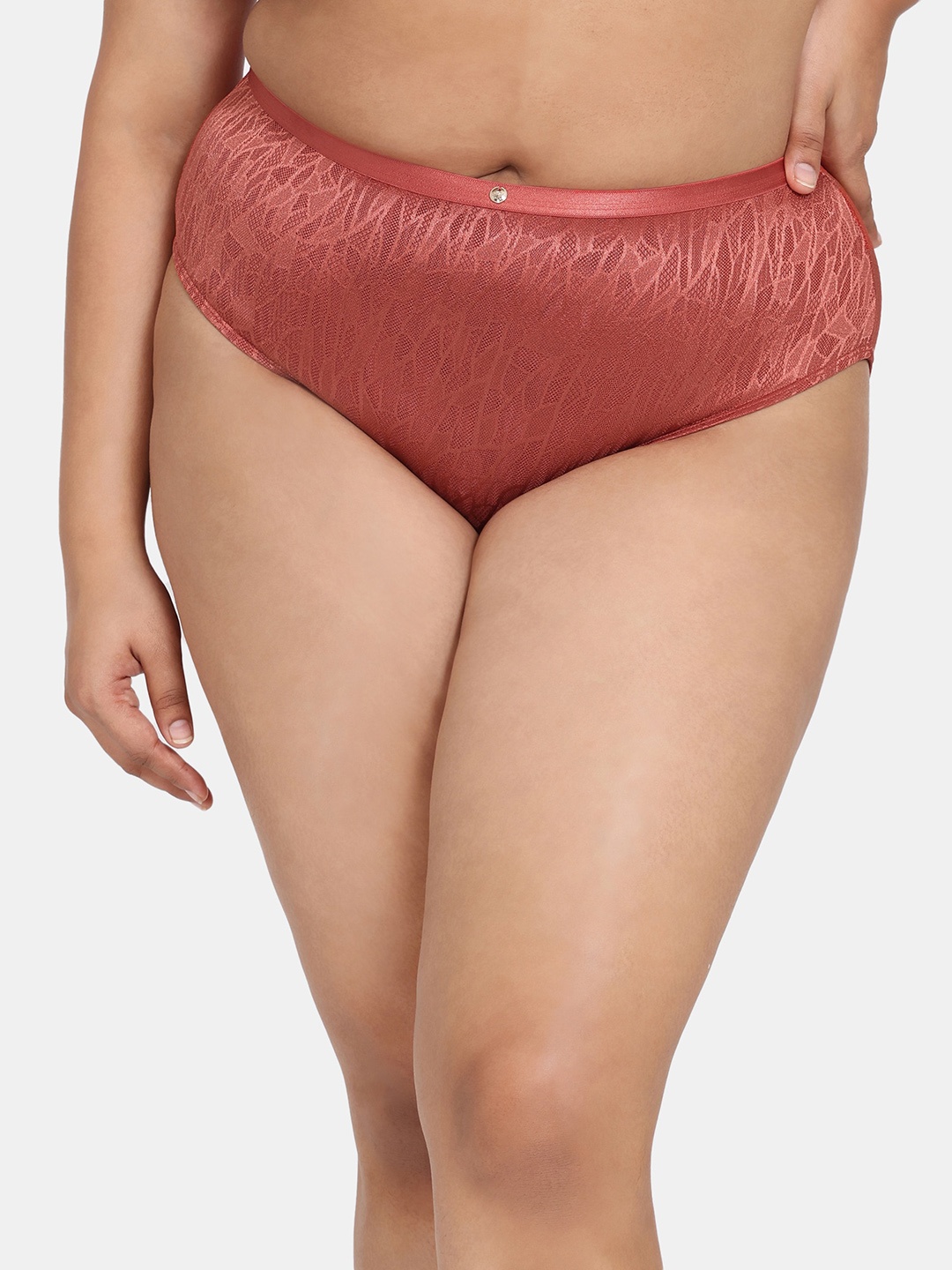 

Zivame Plus Size Mid-Rise Hipster Briefs ZI2884FASHABRWN, Pink