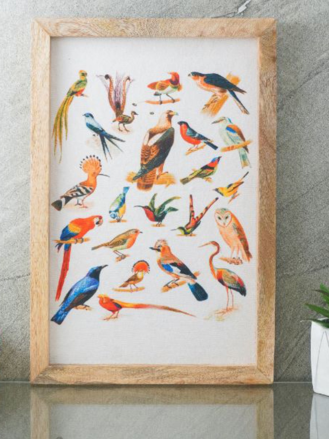 

The Decor Mart White & Red Species of Birds Canvas Painting Framed Wall Art