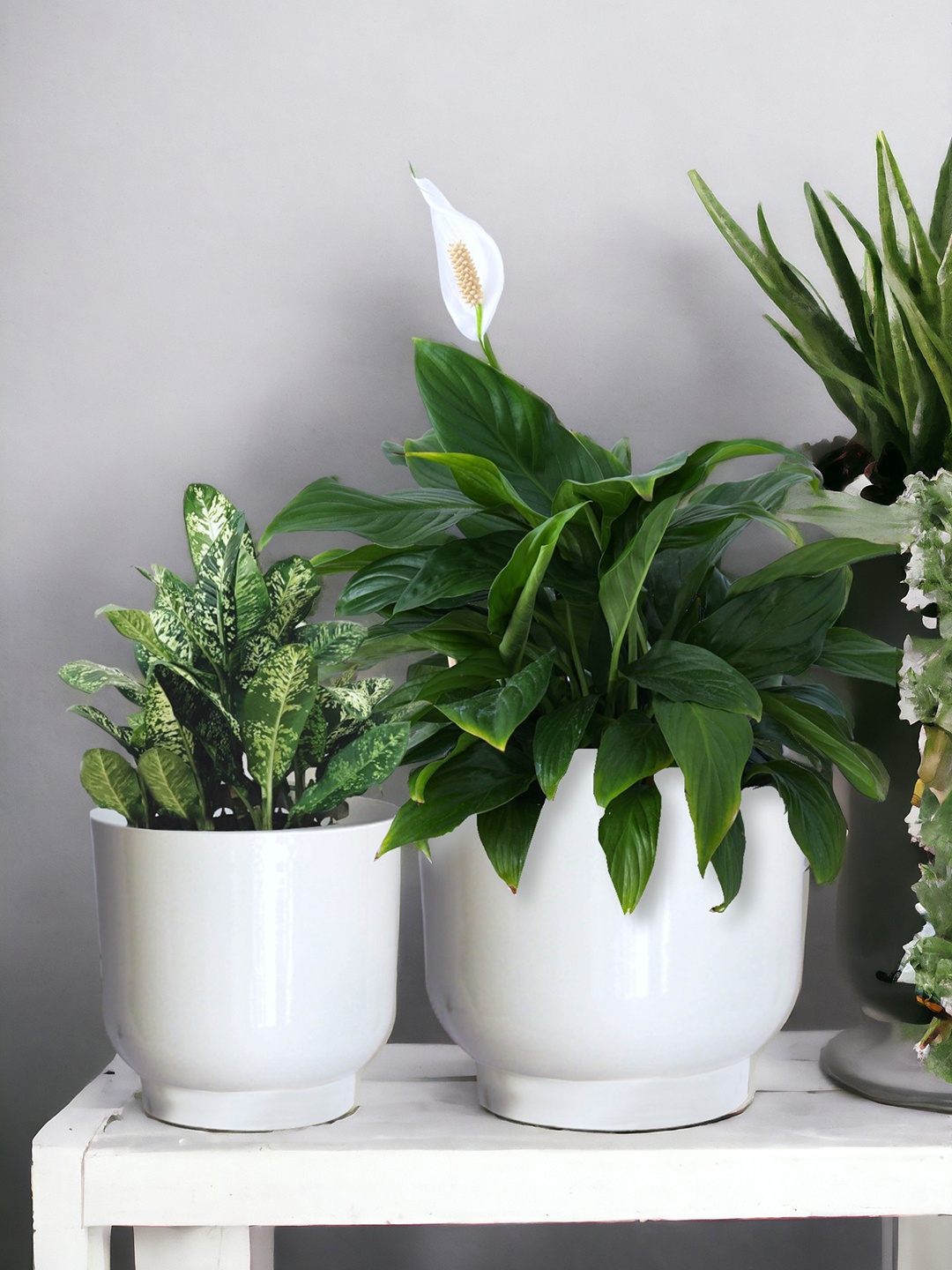 

ecofynd 2 Pcs White Eva Metal Plant Pot