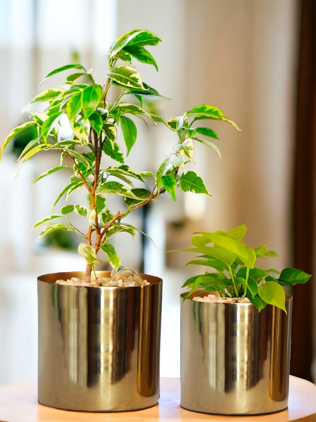 

ecofynd 2 Pcs Golden Grace Metal Planters, Gold