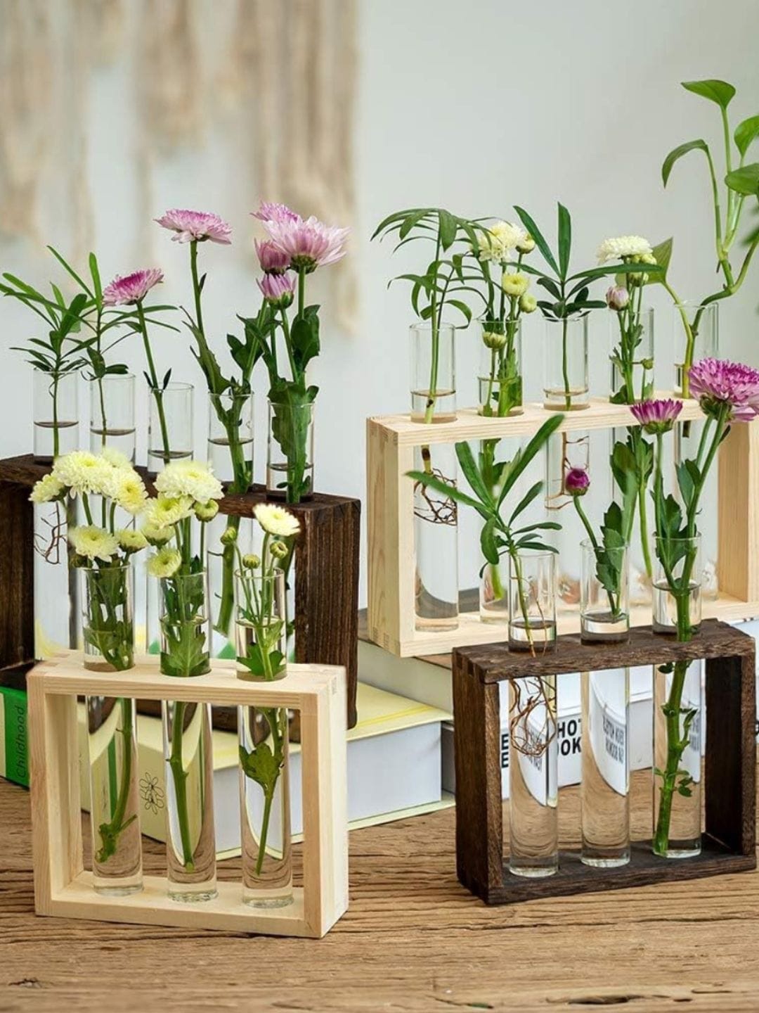 

ecofynd Brown & Transparent 5 Pieces Test Tube Air Planter With Wooden Holder