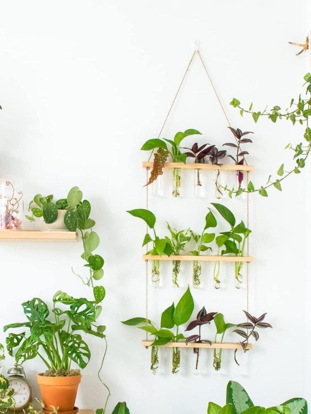 

ecofynd Off White & Transparent 3-Tier Wall Hanging Test Tube Planter with Wooden Holder