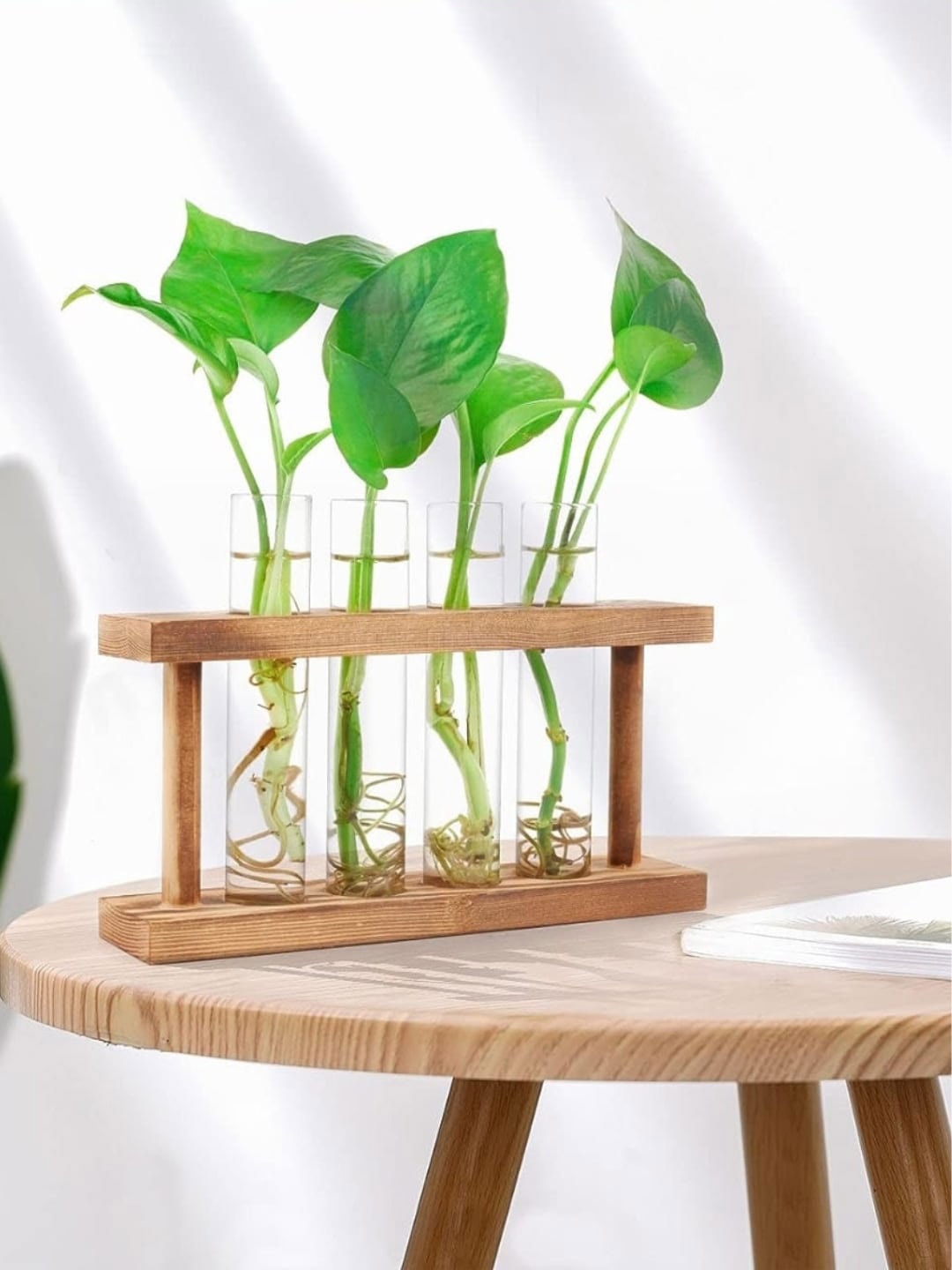 

ecofynd Brown & Transparent 4 Pieces Test Tube Air Planter With Wooden Holder