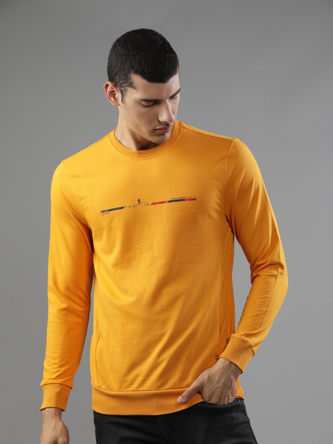 

t-base Round Neck Long Sleeves Sweatshirt, Yellow