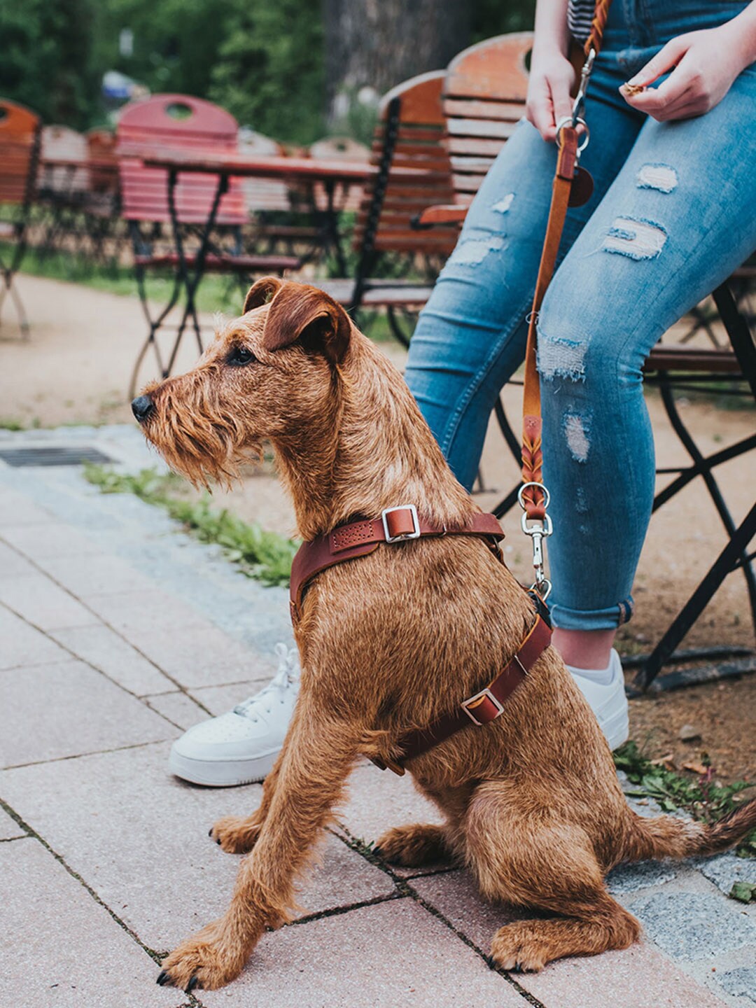 

HUNTER Self-Design Aalborg Dog Harness, Tan