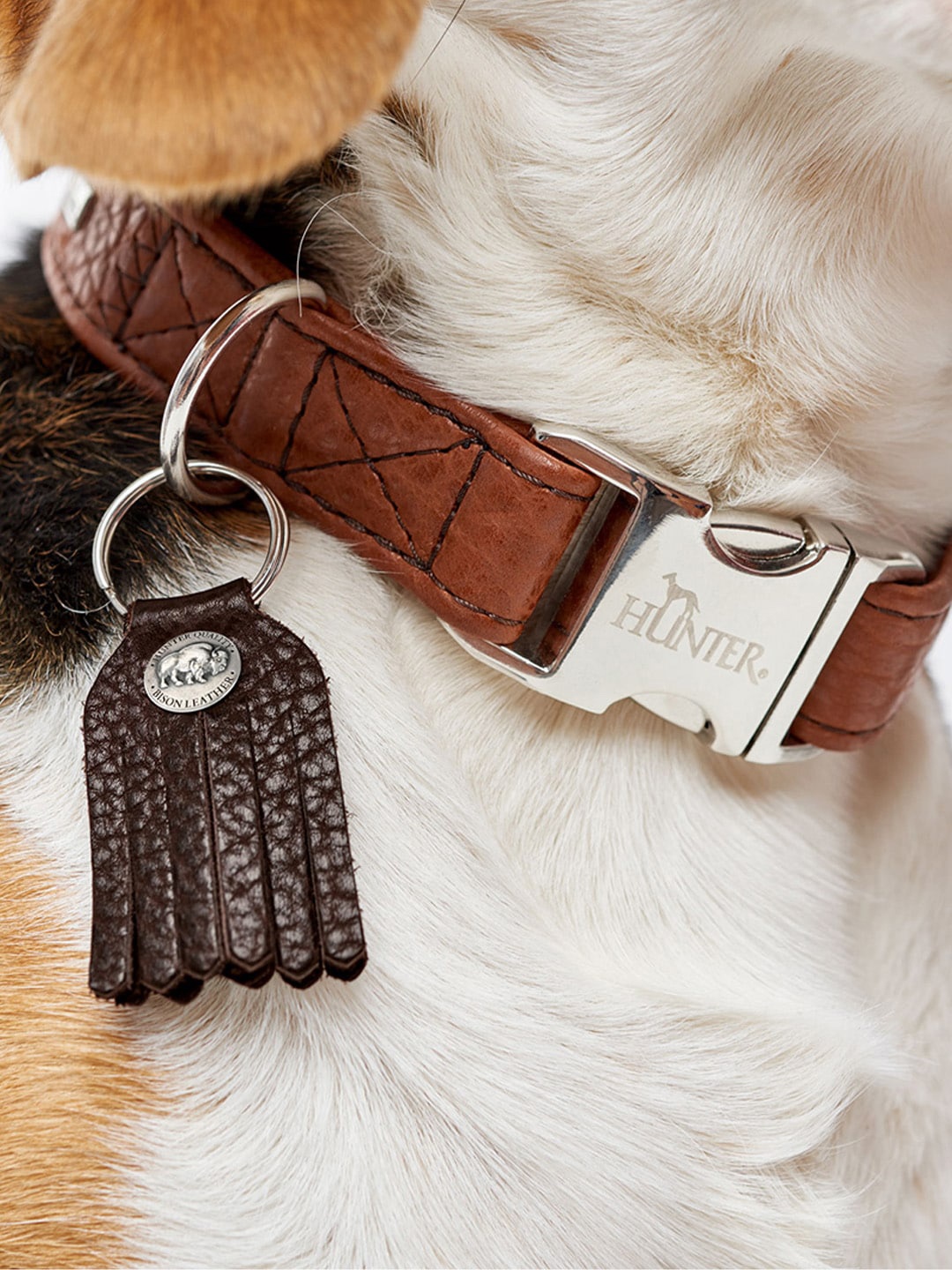 

HUNTER Textured Hypo-Allergenic Leather Dog Collar, Tan
