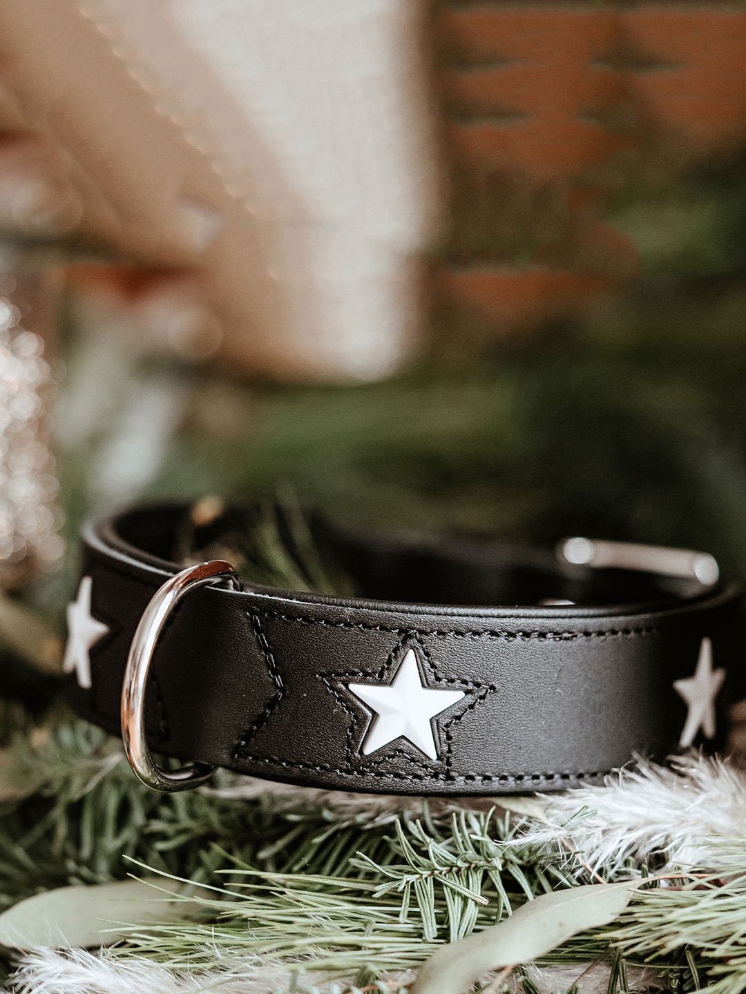 

HUNTER Self Design Hypo-Allergenic Leather Dog Collar, Black