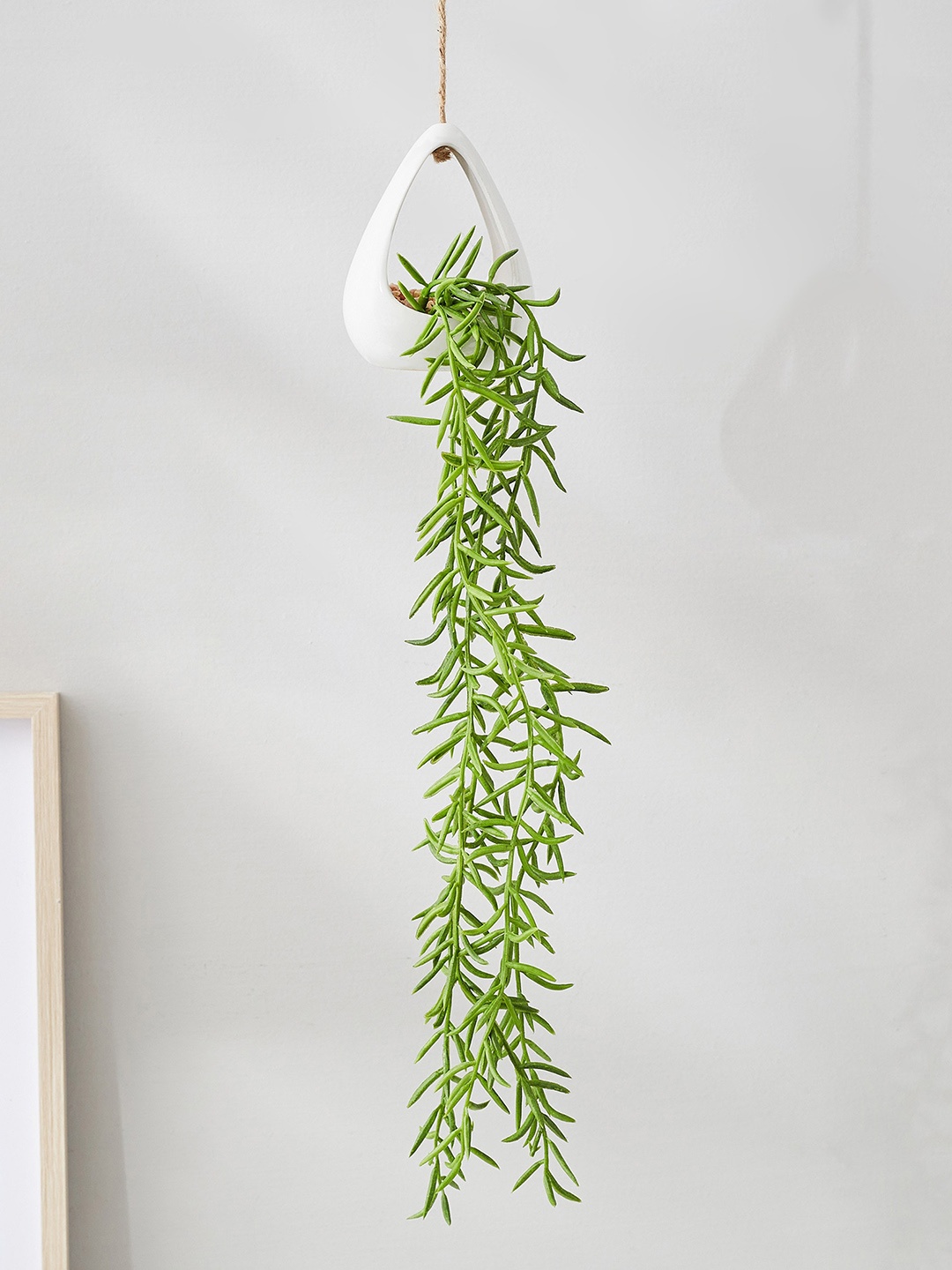 

Home Centre Green Artificial Hanging Creepers in Ceramic Pot