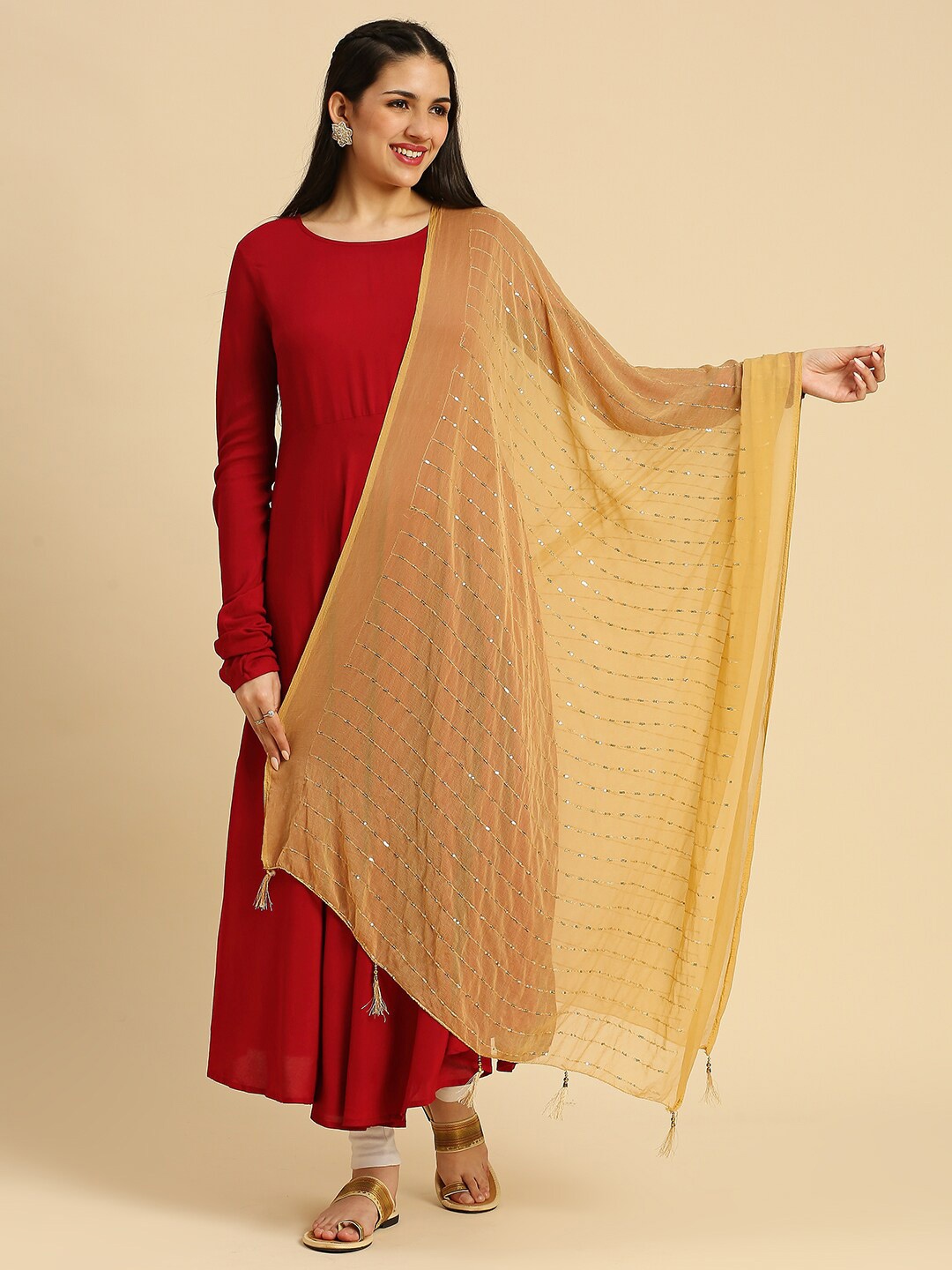 

Dupatta Bazaar Embroidered Chiffon Dupatta with Sequinned, Beige