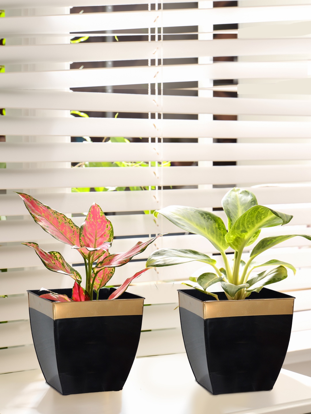 

ecofynd 2 Pieces Midland Small Metal Planter Pots, Black