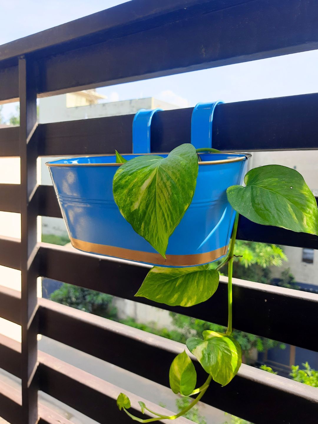 

ecofynd Railing Planter Blue Metal Oval Balcony Hanging Planter