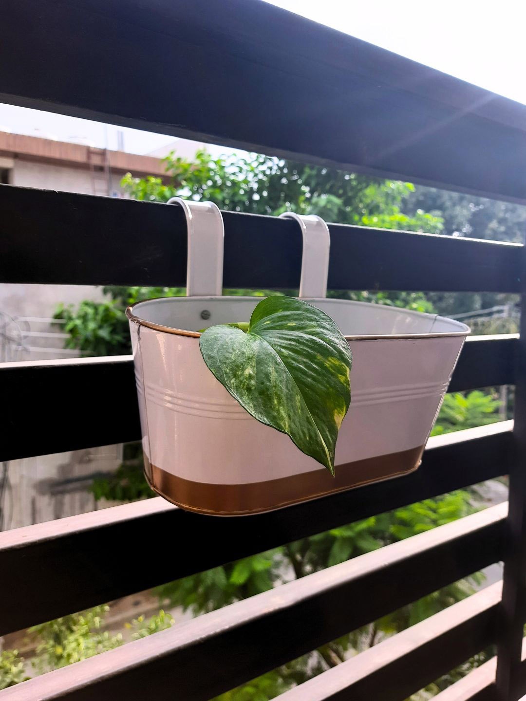 

ecofynd 3 Pcs White Metal Oval Balcony Hanging Planter