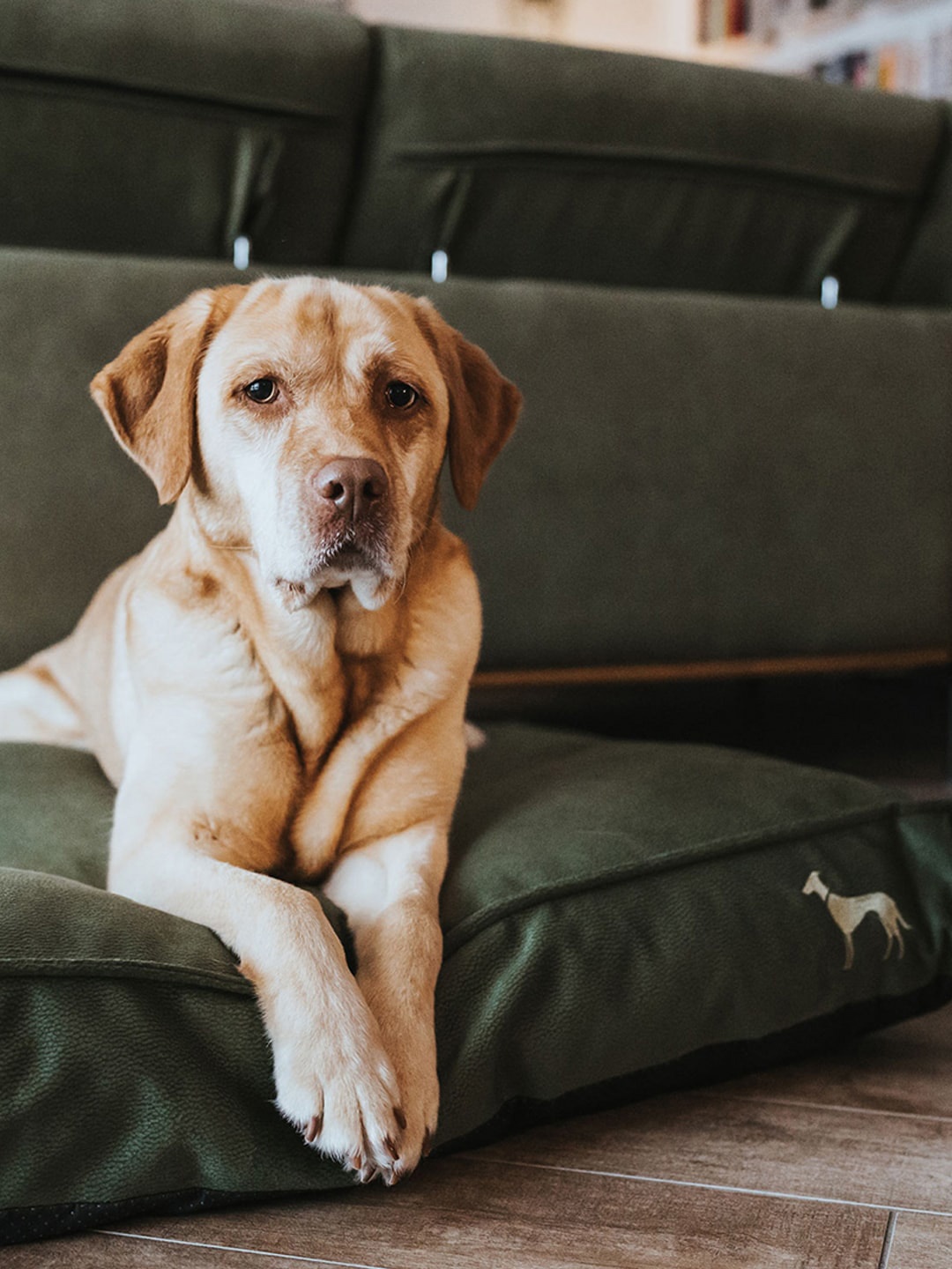 

HUNTER Orthopedic Merida Pet Beds, Olive