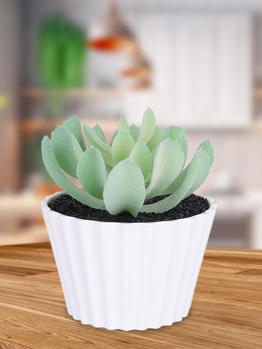 

Kuber Industries Green & White Artificial Succulent Plant With Pot