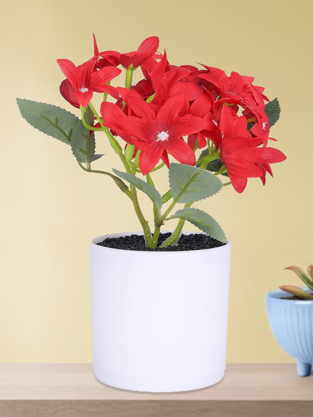 

Kuber Industries Red & White Egyptian Starcluster Artificial Flower With Pot