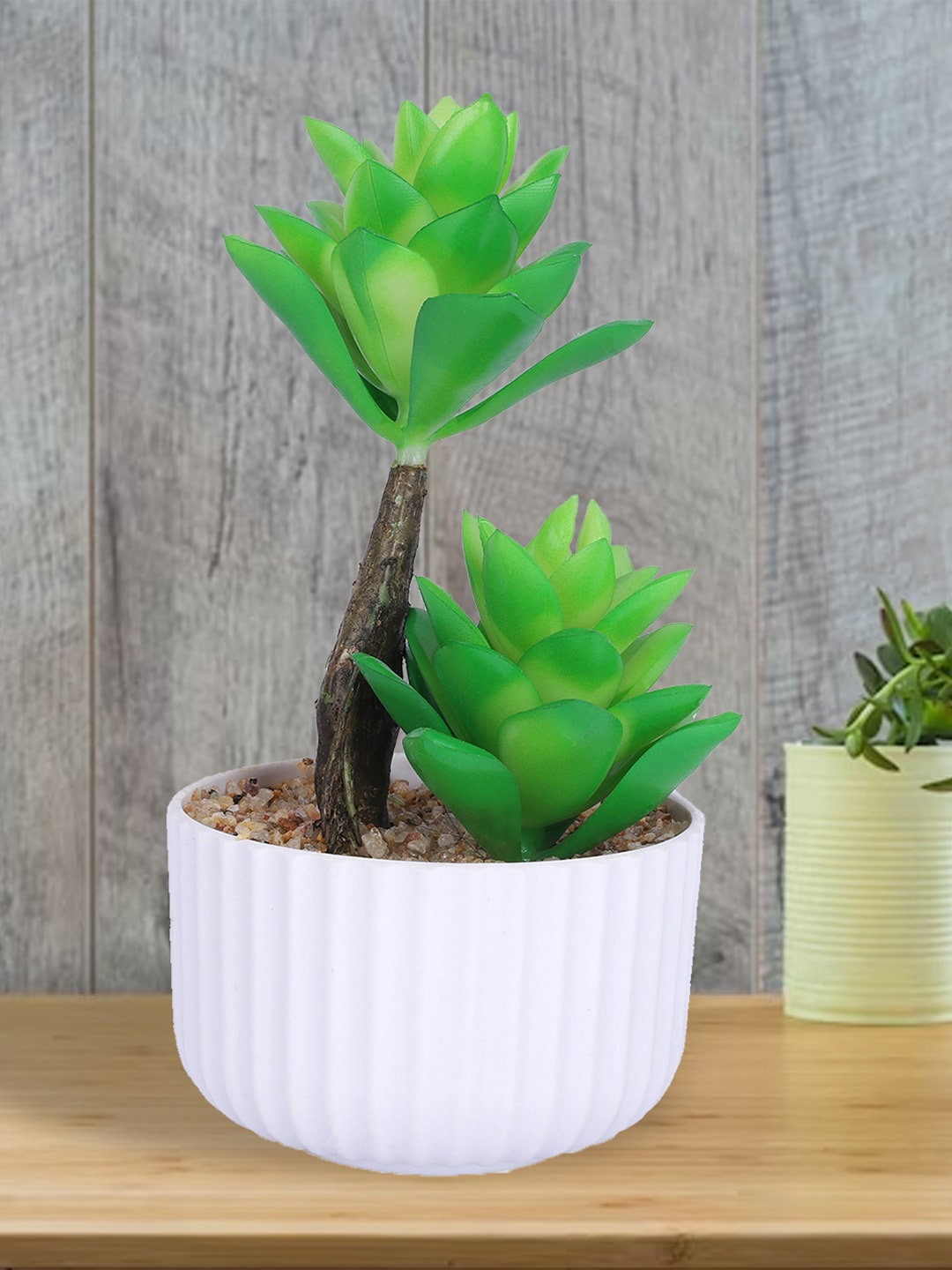 

Kuber Industries Green & White Succulent Artificial Plant With Pot