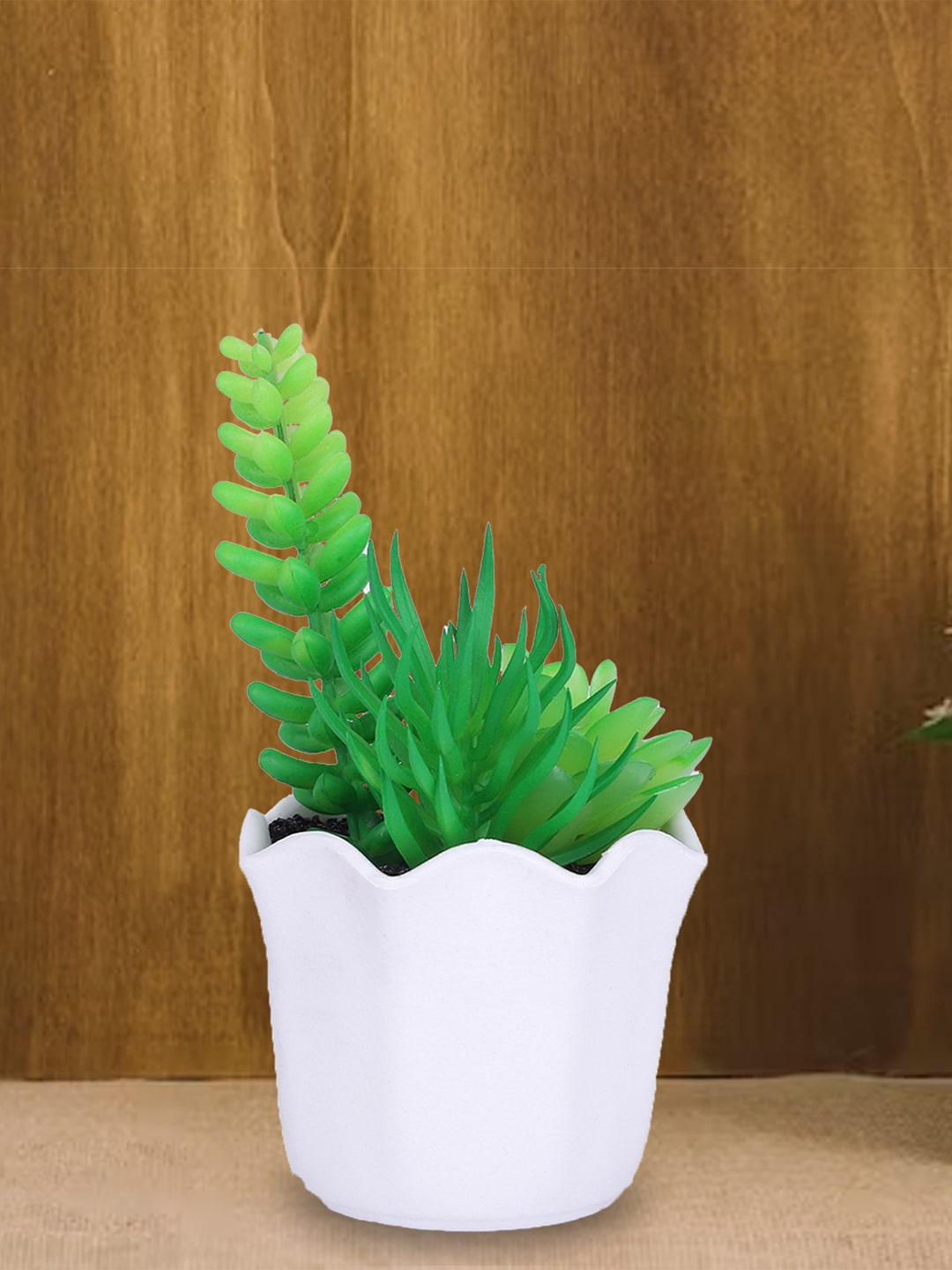 

Kuber Industries Green & White Artificial Succulent Plant With Pot