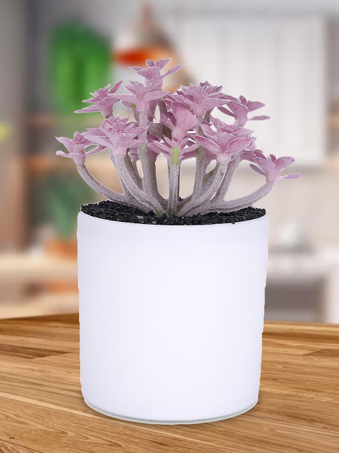

Kuber Industries Lavender & White Artificial Succulent Plant With Pot
