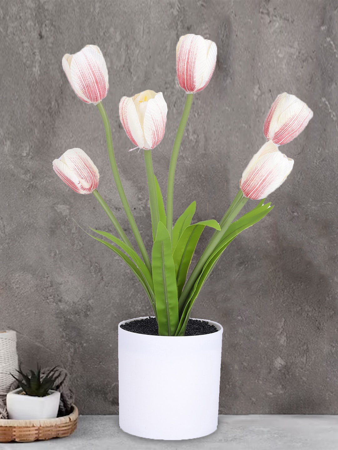 

Kuber Industries Pink & Green Artificial Tulip Flower Plant With Pot