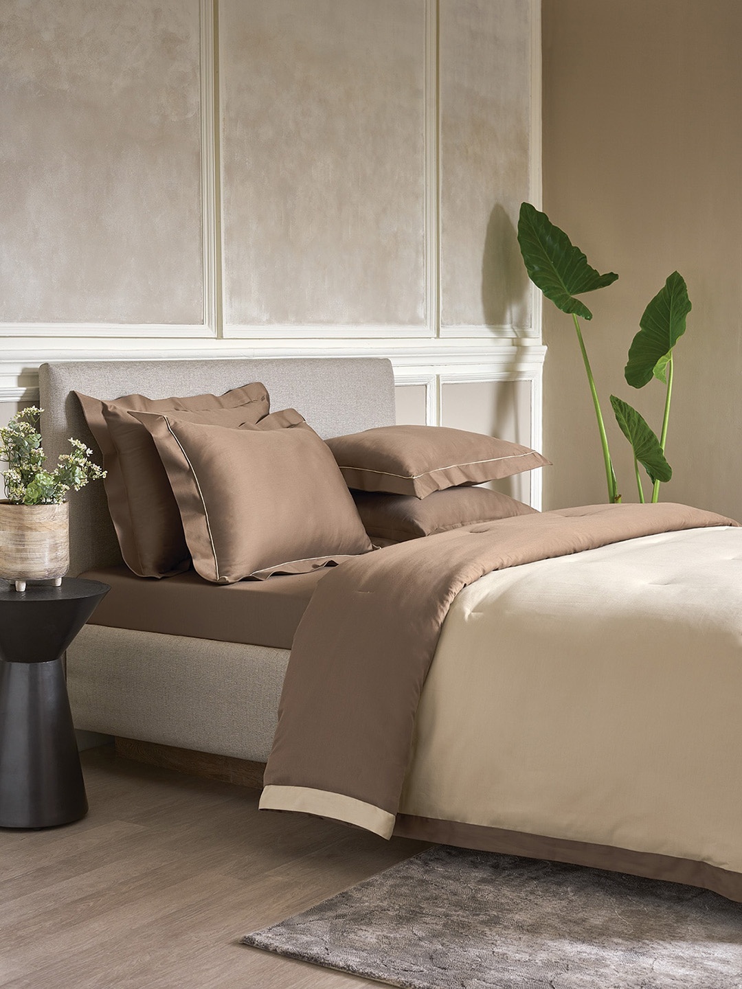

DDecor Brown & Off White Cotton Double King Bedding Set
