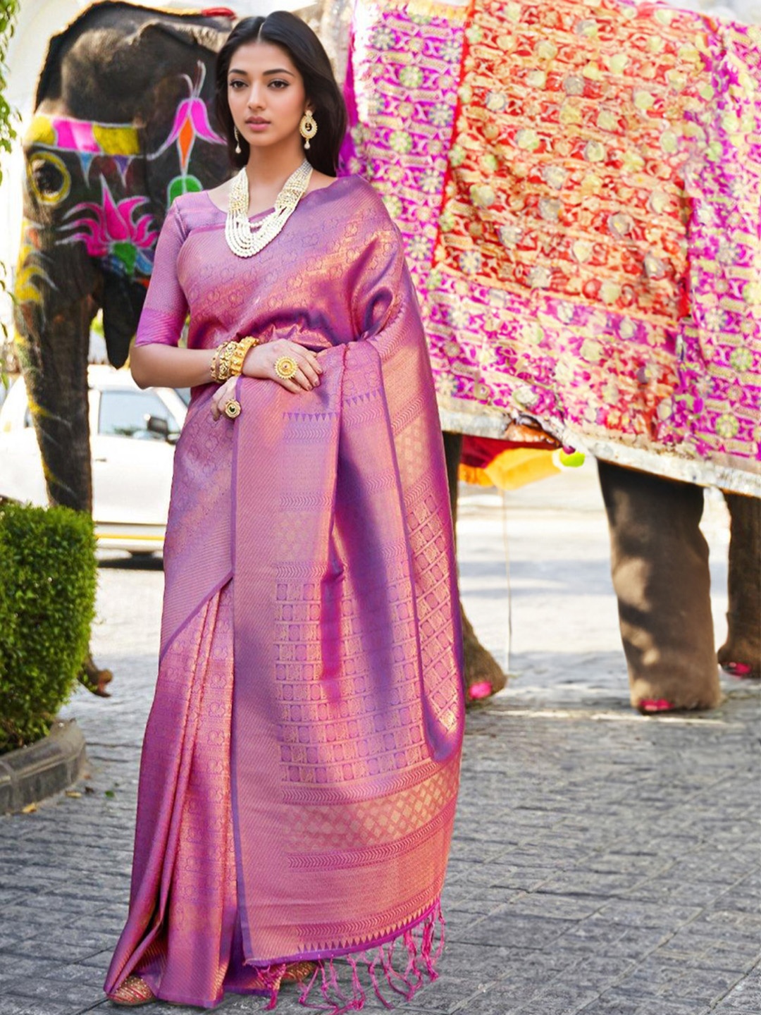 

Rangita Woven Design Ethnic Motifs Zari Banarasi Saree, Mauve