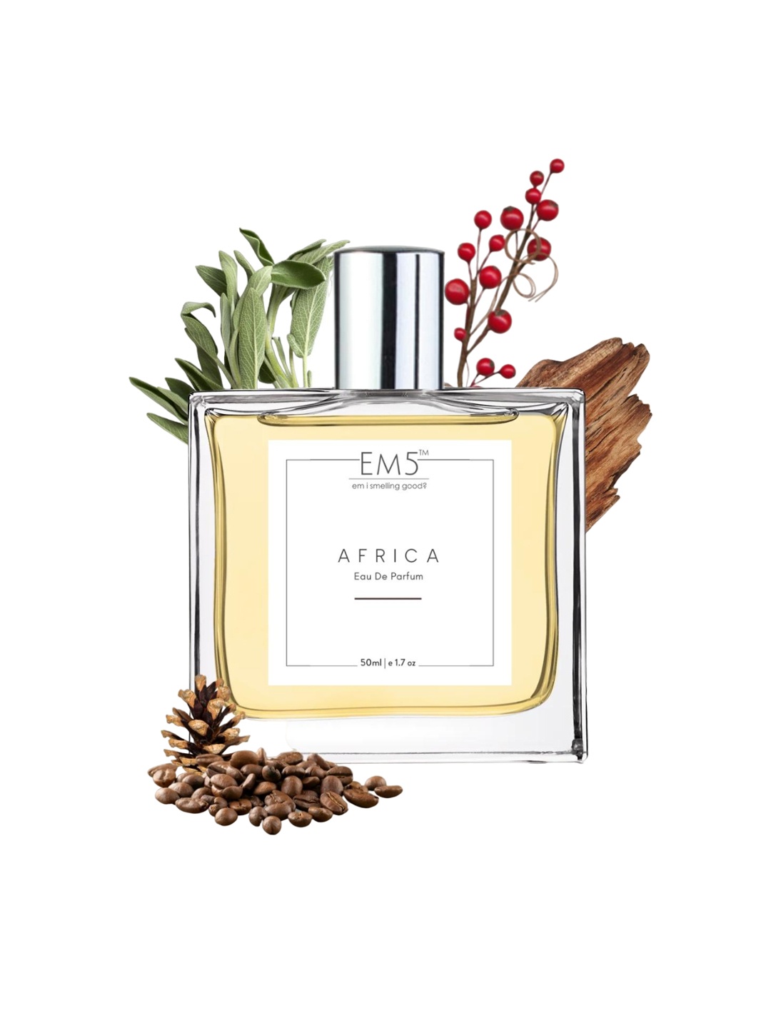 

EM5 Africa Eau De Parfum 50ml, Transparent