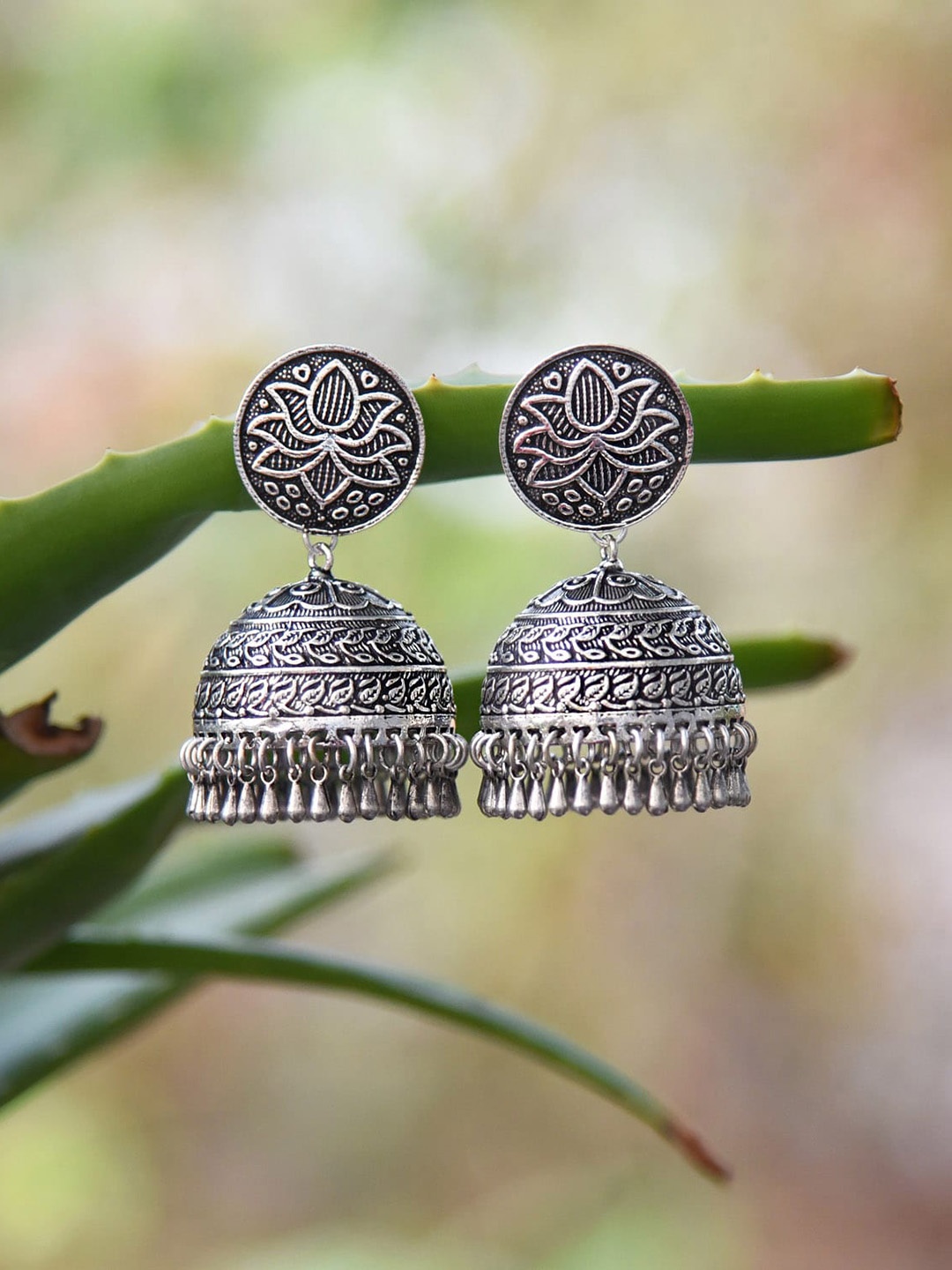 

FIROZA Silver-Plated Dome Shaped Jhumkas