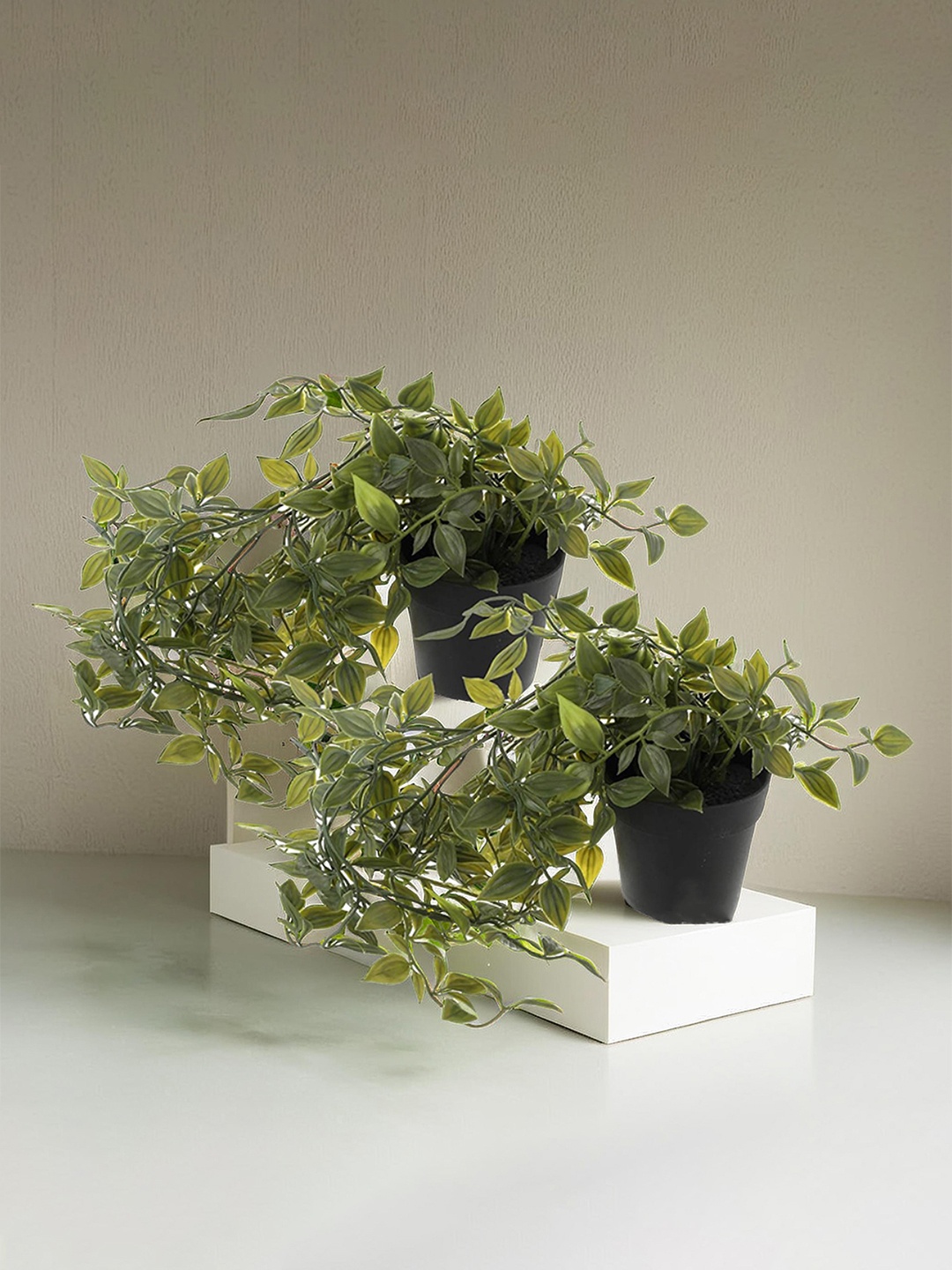 

Kuber Industries Green & Black Variegated Arrowhead Vine Artificial Plant With Pot