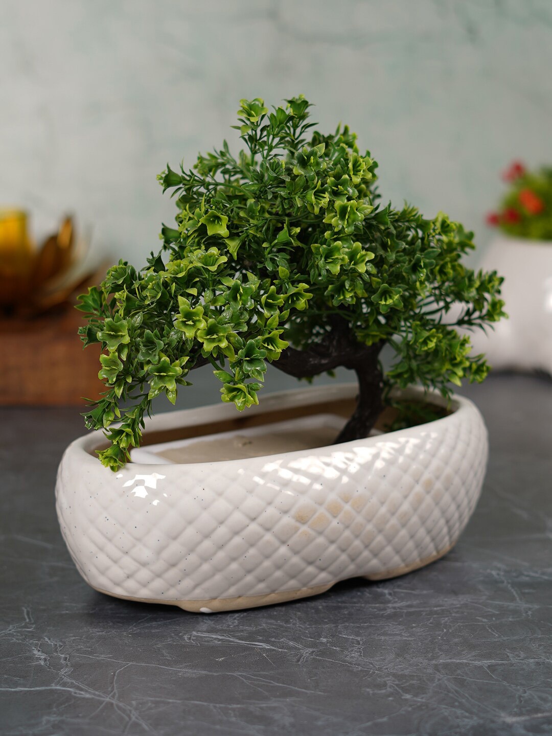

CDI White Textured Rectangular Shaped Ceramic Planter