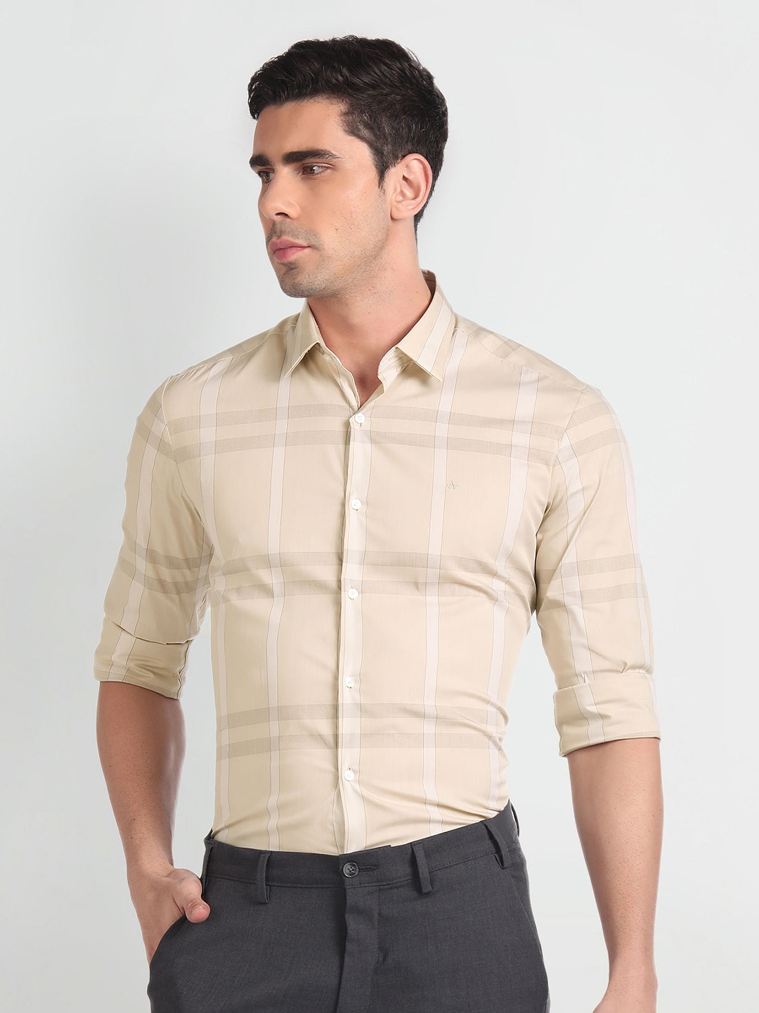 

Arrow Slim Fit Tartan Checked Spread Collar Cotton Formal Shirt, Beige