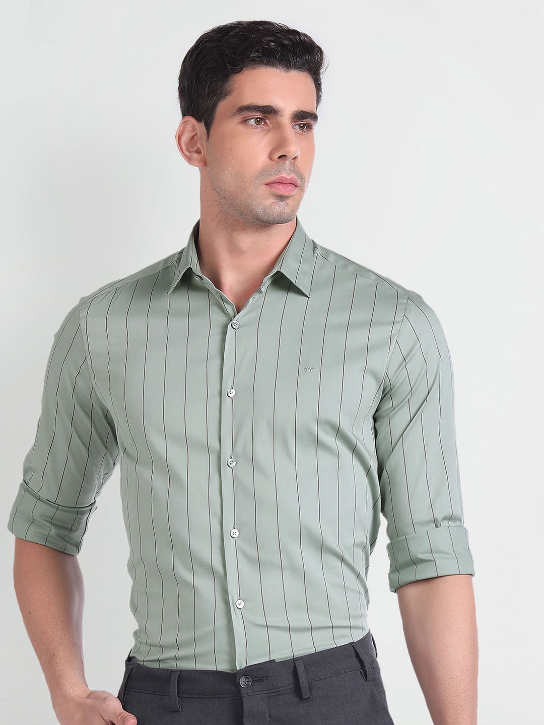 

Arrow Slim Fit Vertical Striped Spread Collar Pure Cotton Formal Shirt, Green