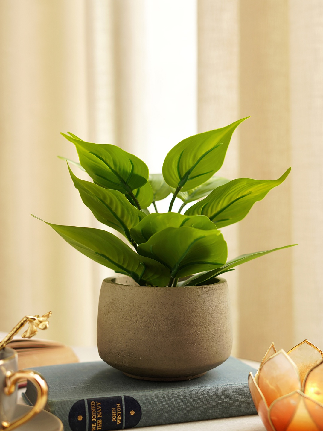 

Pure Home and Living Green Artificial Plants With Pot