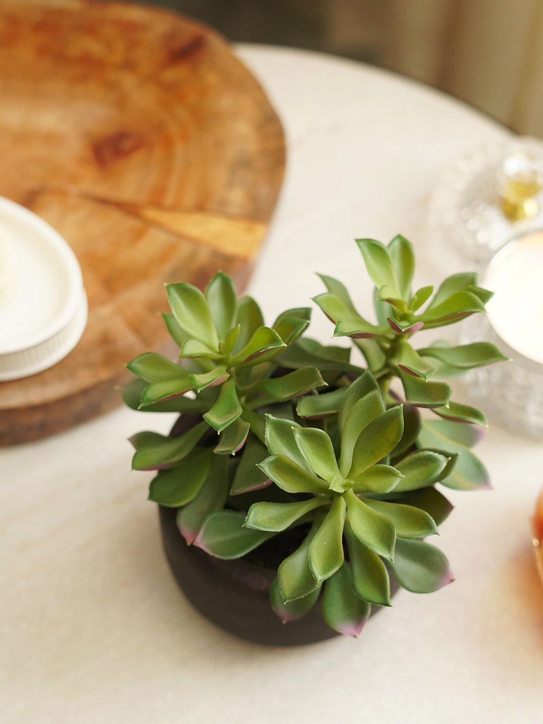 

Pure Home and Living Green Artificial Succulent with Cement Pot