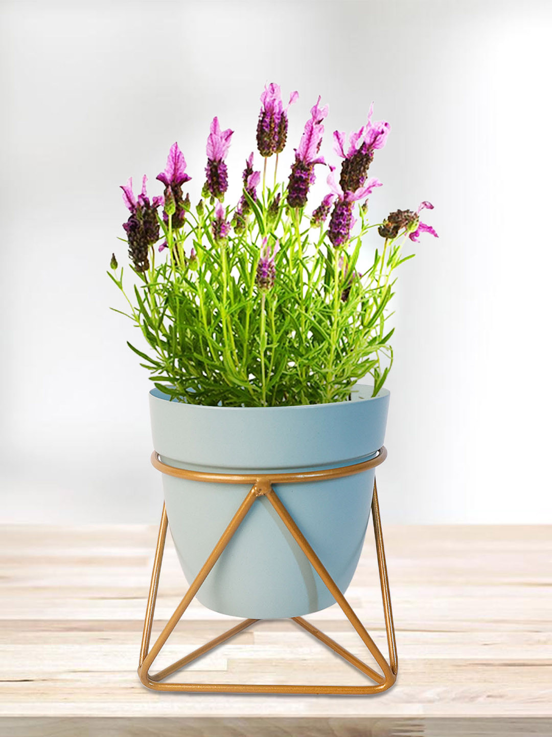 

Peng Essentials Blue Flower Pot Plant Vase