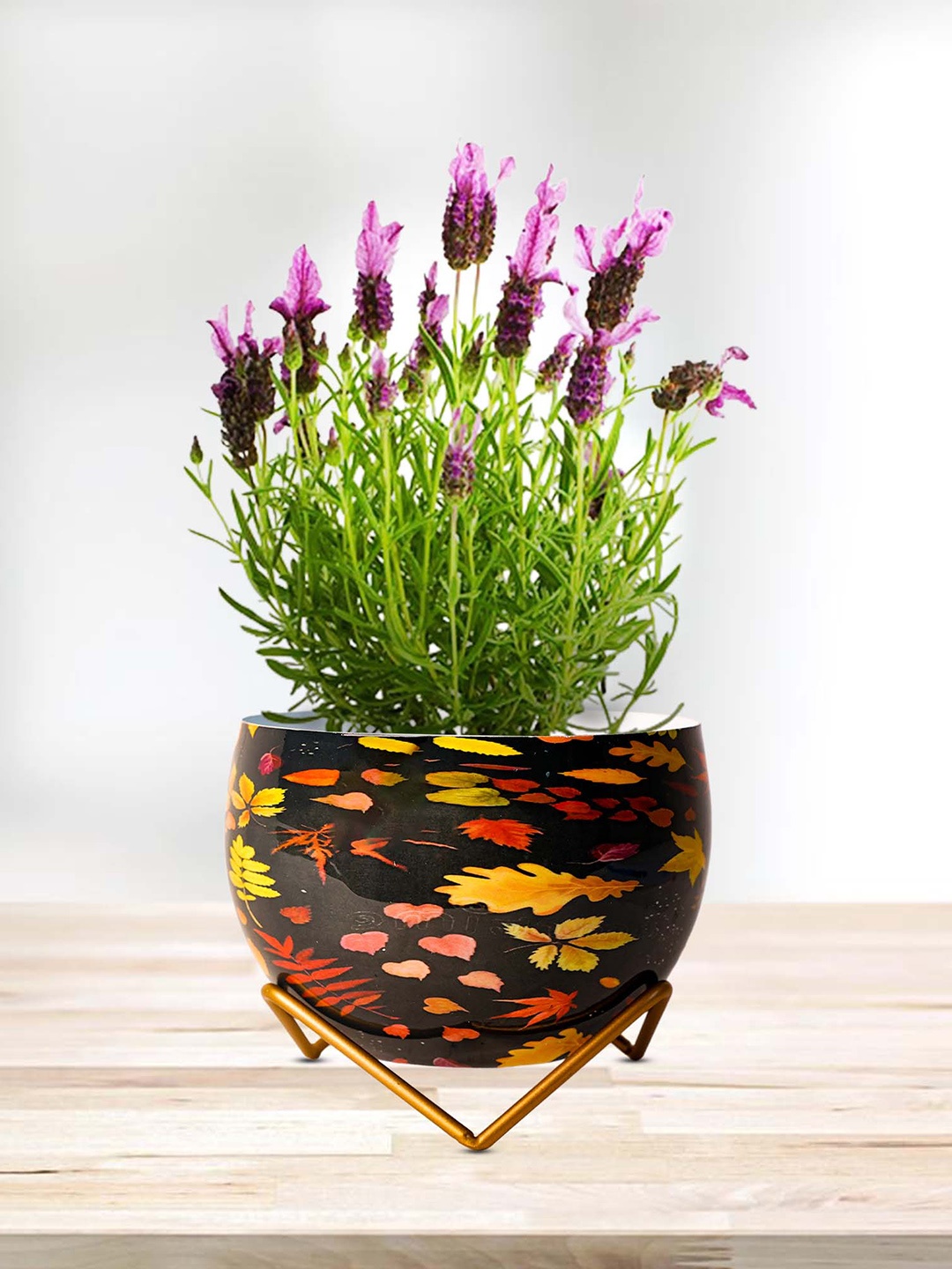 

Peng Essentials Black & Yellow Flower Pot Indoor Plant Vase