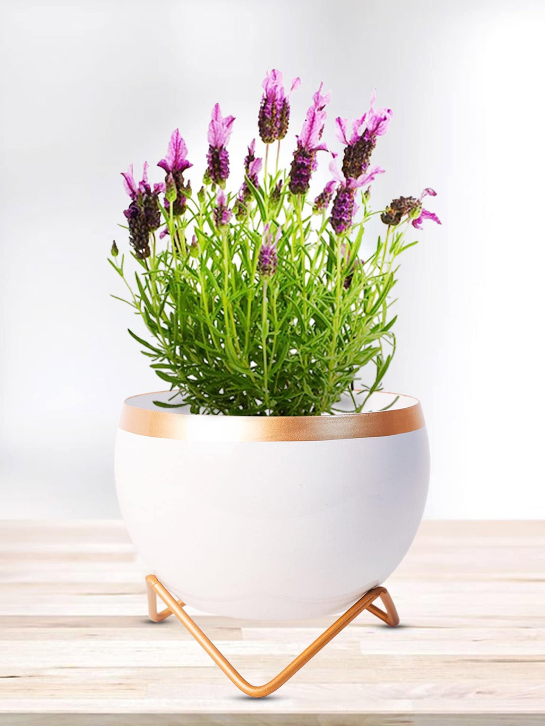 

Peng Essentials White Flower Pot Indoor Plant Vase