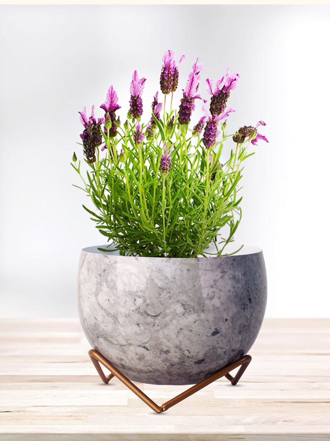 

Peng Essentials Grey Textured Flower Pot Indoor Plant Vase