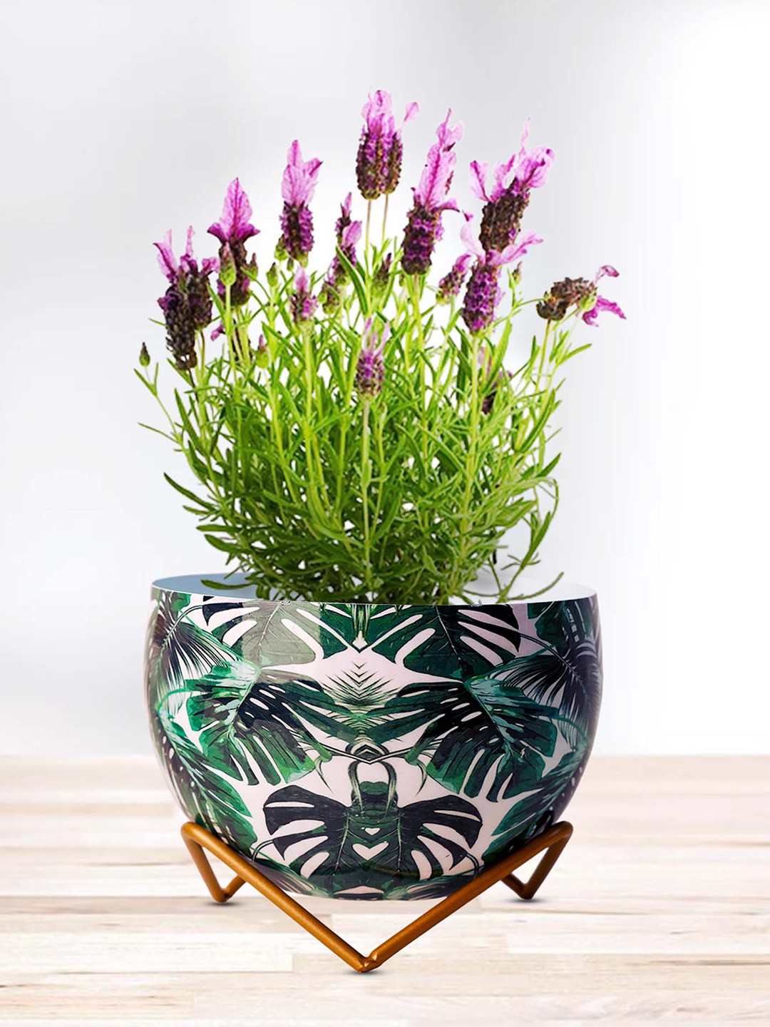 

Peng Essentials Green & Beige Textured Flower Pot Indoor Plant Vase
