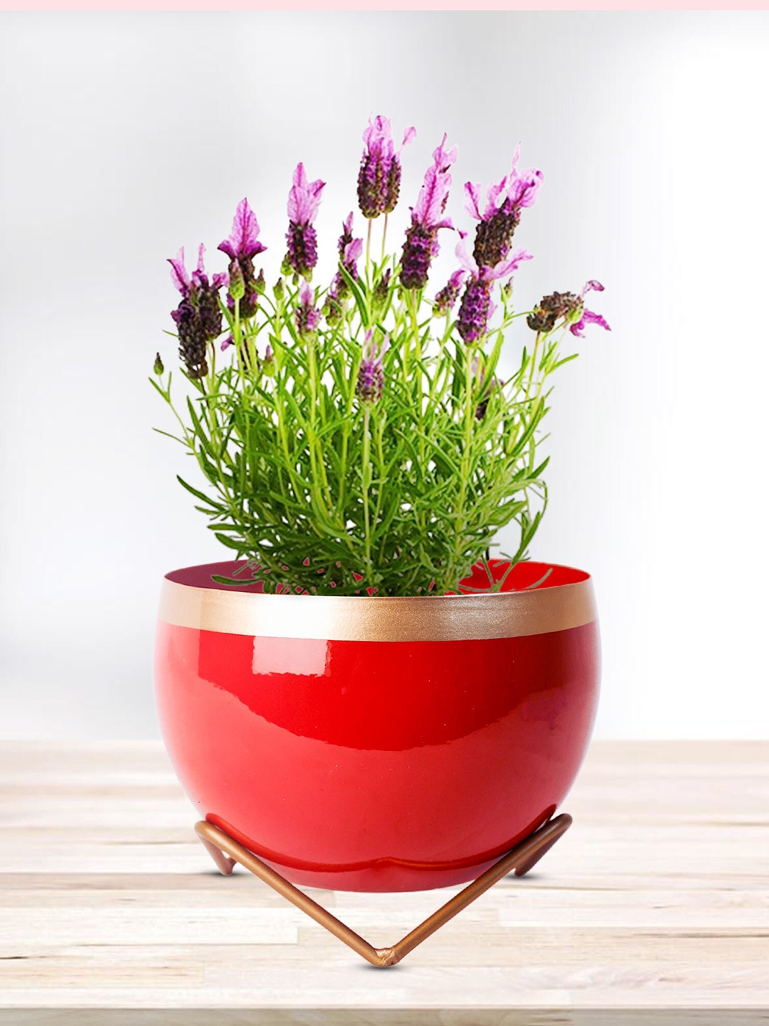 Peng Essentials Red Flower Pot Indoor Plant Vase
