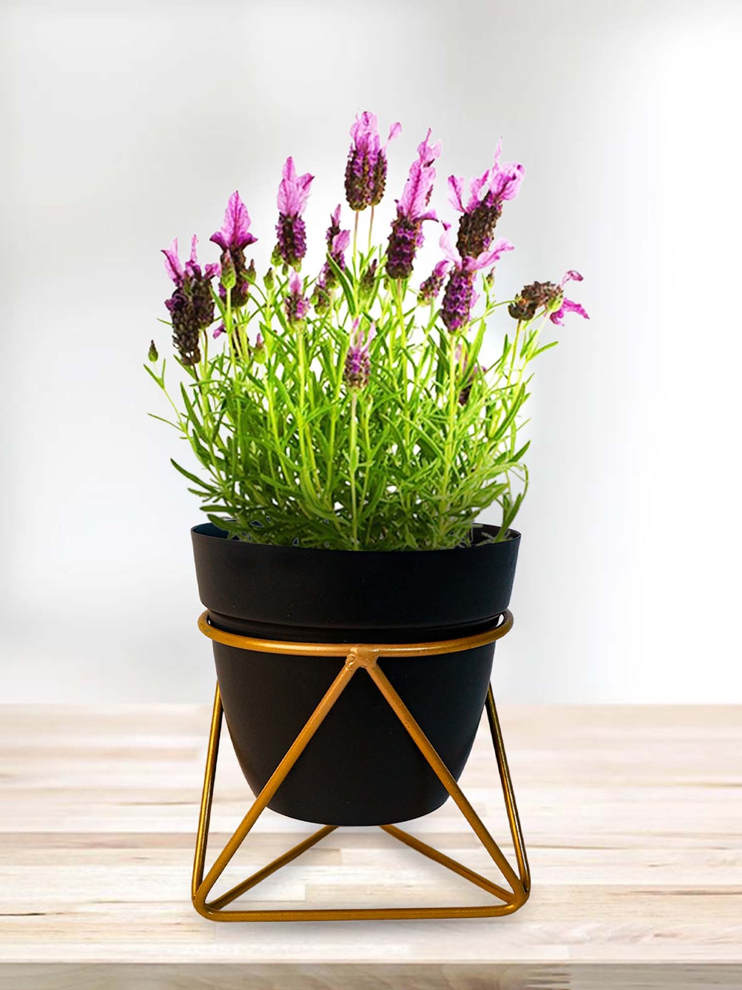 

Peng Essentials Black Flower Pot Indoor Plant Vase