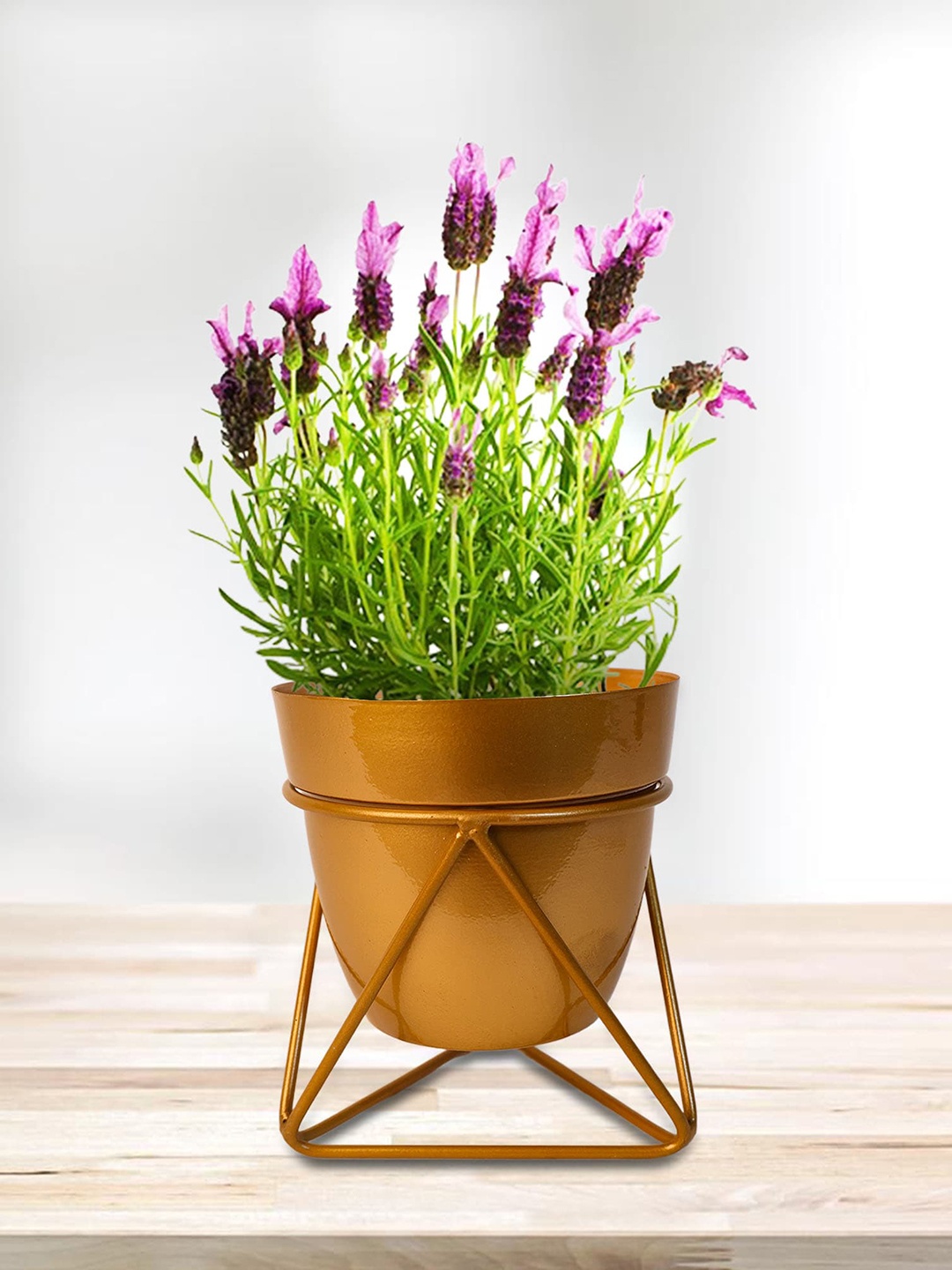 

Peng Essentials Gold Toned Flower Pot Indoor Plant Vase
