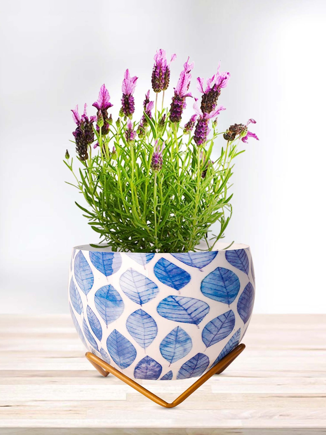 Peng Essentials Blue & White Textured Flower Pot Indoor Plant Vase