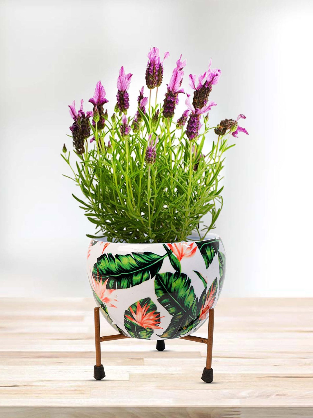 

Peng Essentials White & Green Flower Pot Indoor Plant Vase