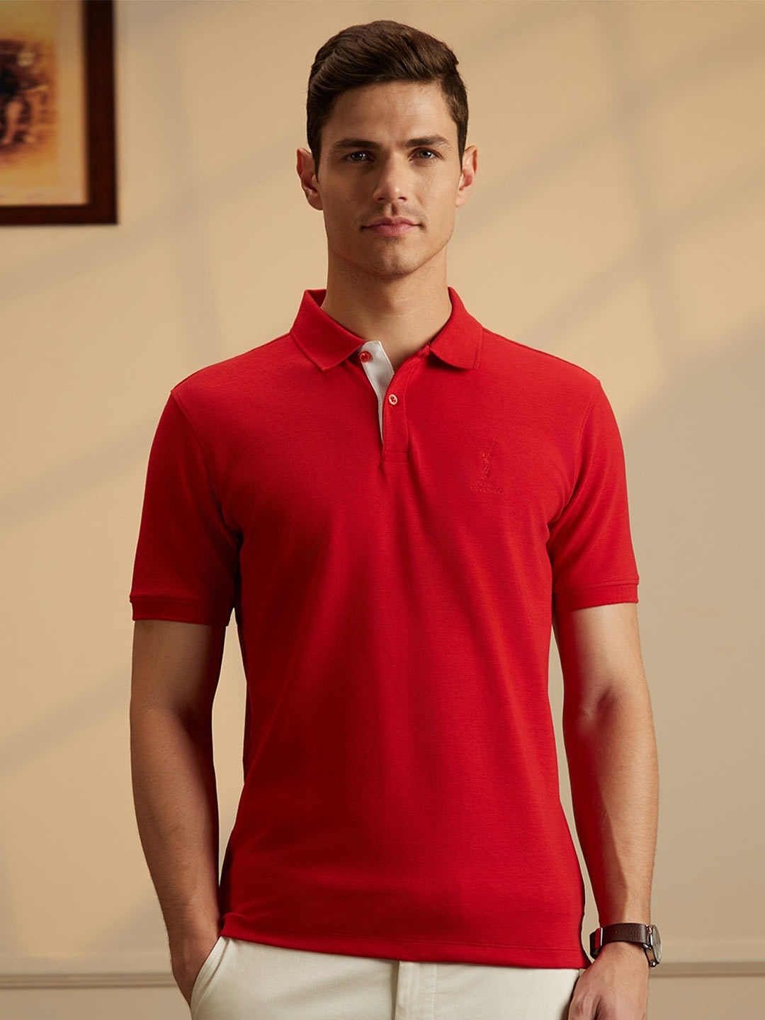 

Peter England Casuals Men Red Cricket Inspired Cotton Polo T-Shirt