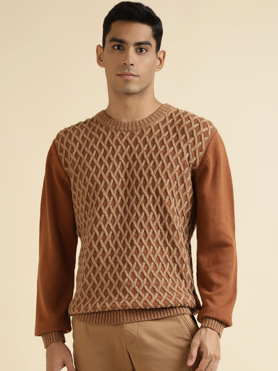 

Andamen Self Design Cable Knit Cotton Pullover, Brown