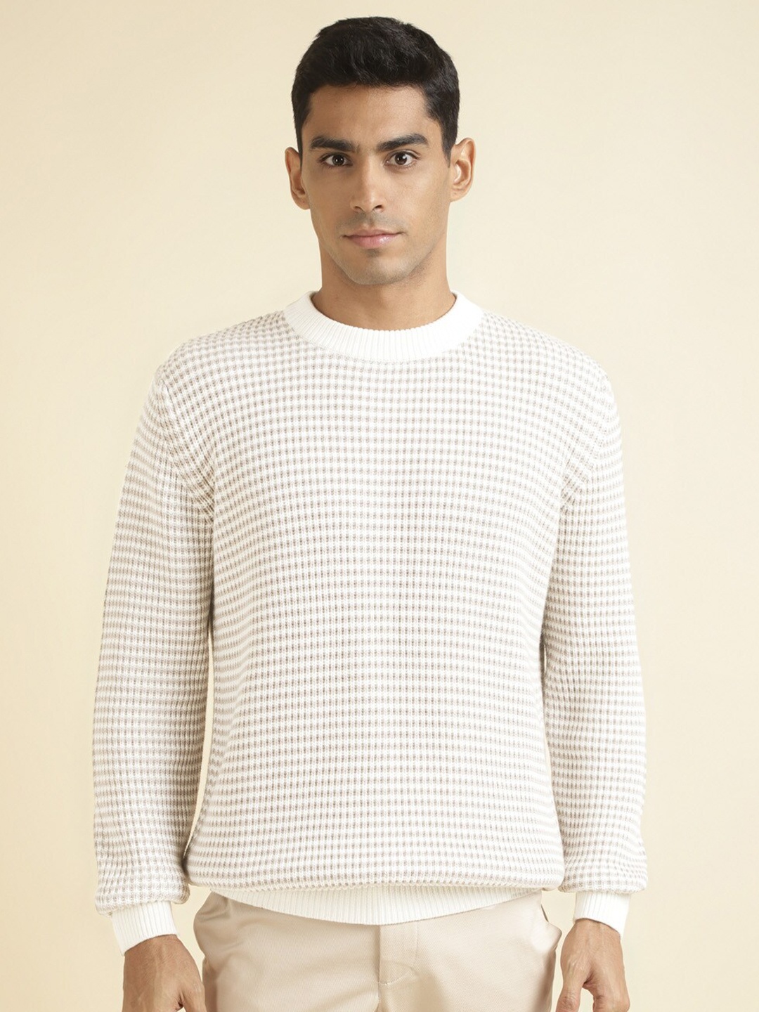 

Andamen Open Knit Round Neck Long Sleeves Cotton Pullover Sweaters, Off white