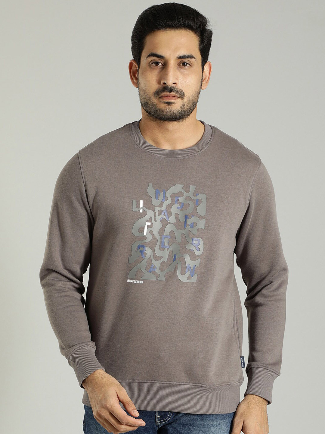 

Indian Terrain Graphic Printed Round Neck Sweatshirt, Grey