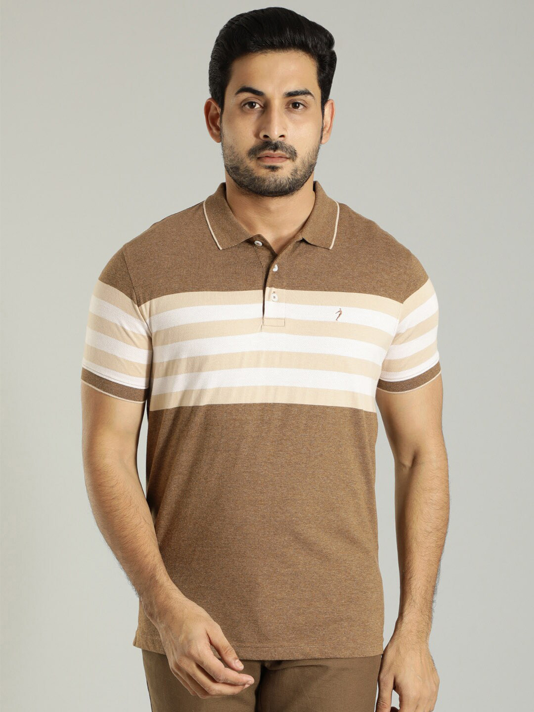 

Indian Terrain Striped Polo Collar T-Shirt, Brown